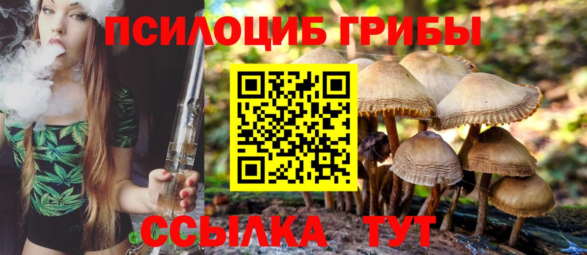 Псилоцибиновые грибы прущие грибы Ангарск